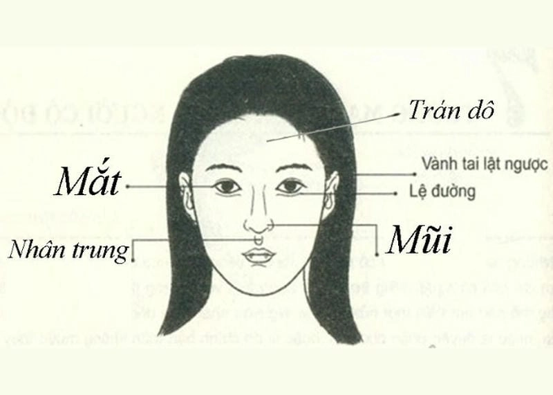 Nhận biết đặc điểm khuôn mặt của người dễ ngoại tình