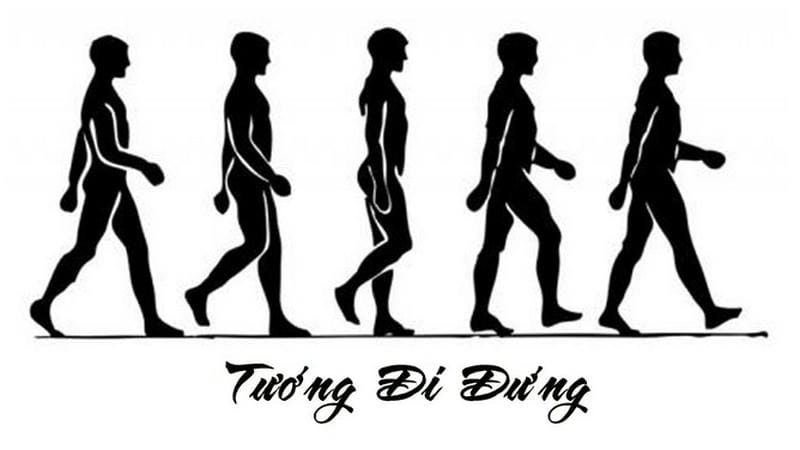 Giải mã các tướng đi phổ biến và tính cách đi kèm