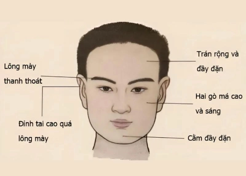 Khám phá đặc điểm khuôn mặt của người thông minh