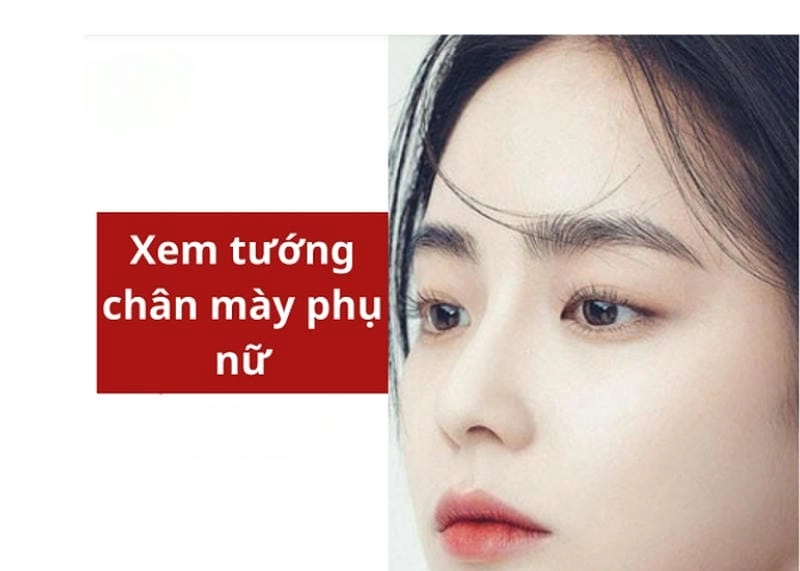 Khám phá ý nghĩa nhân tướng học của chân mày nữ