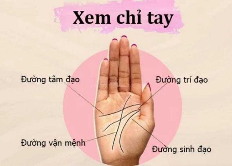 Khám phá ý nghĩa của các đường chỉ tay trong nhân tướng học