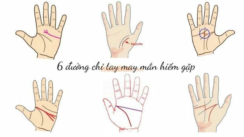 Giải mã dự đoán vận mệnh cuộc đời qua chỉ tay