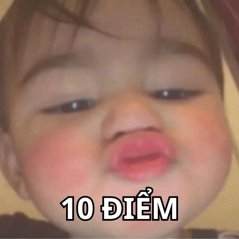 Tổng hợp hình ảnh 10 điểm meme đáng yêu