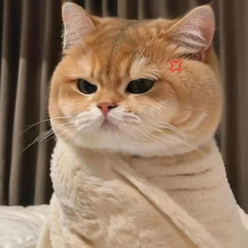 Cười sảng với những khoảnh khắc meme giận dữ