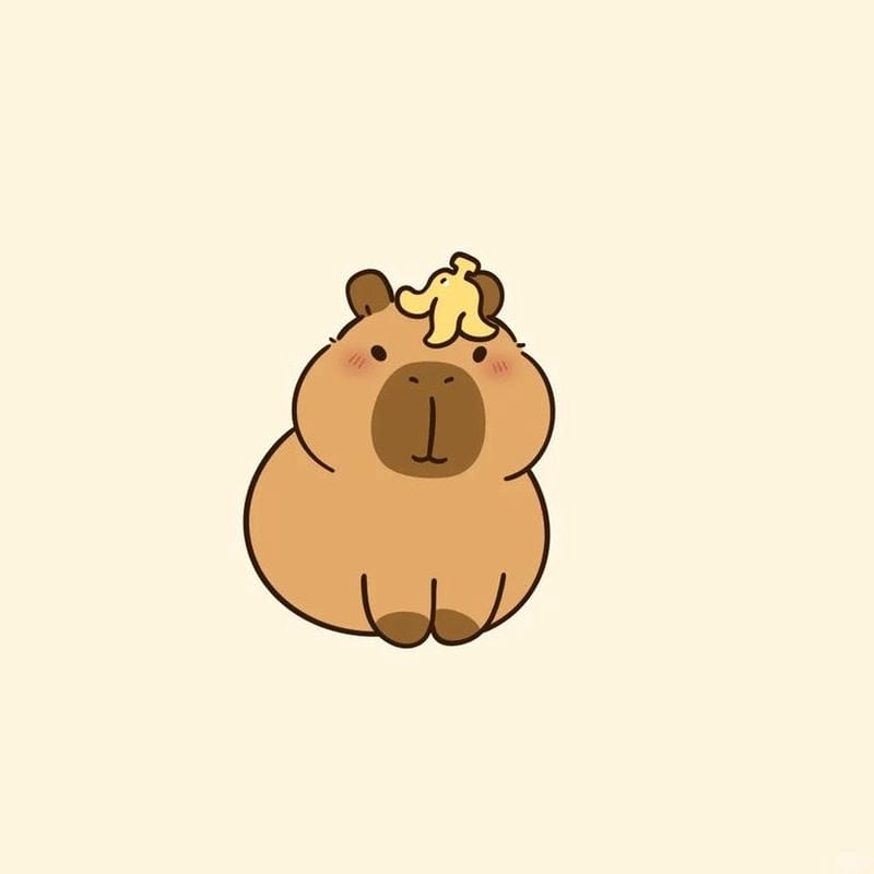 Những những hình ảnh capybara cute