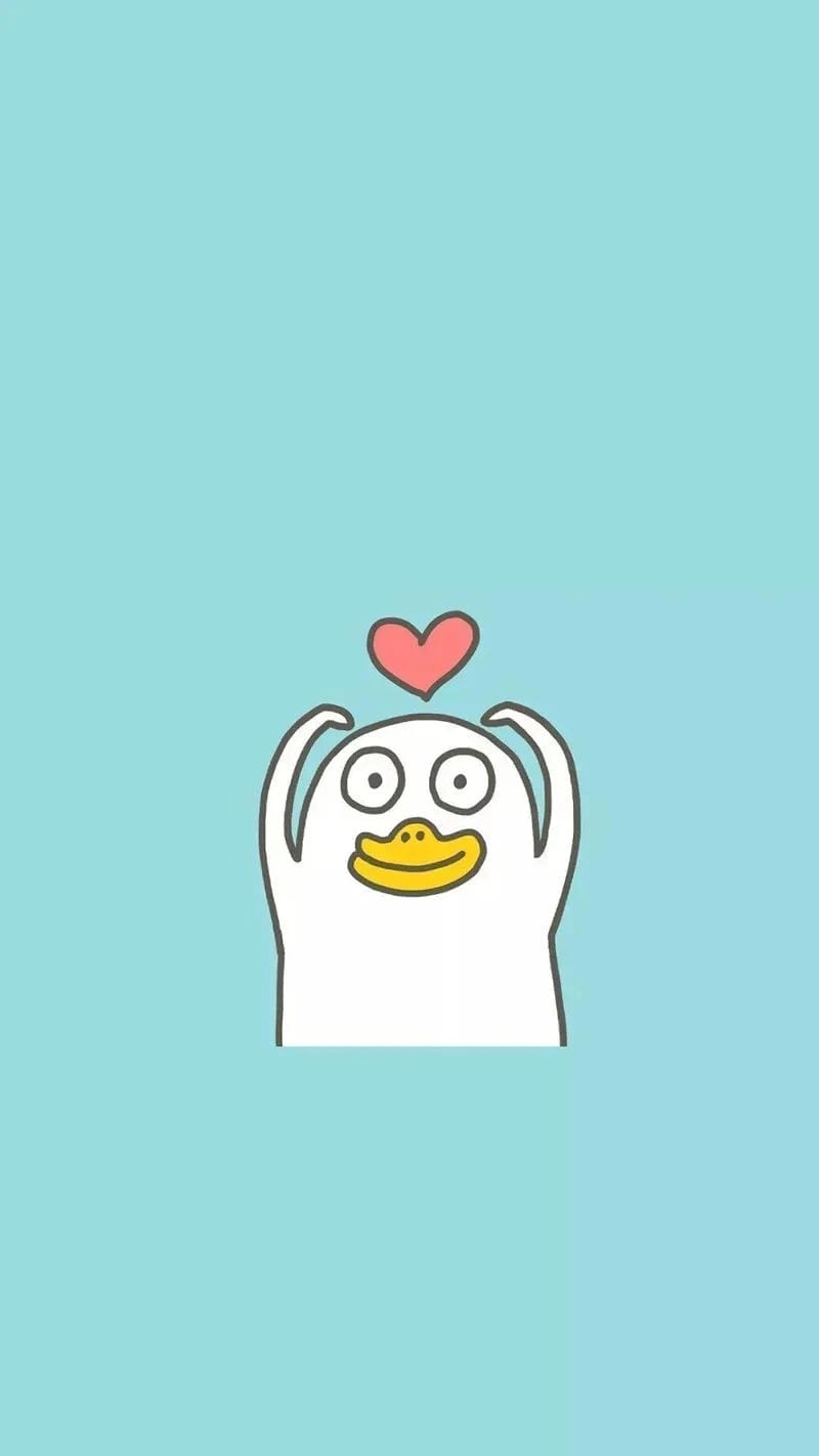 Tổng hợp ảnh vịt trắng cute