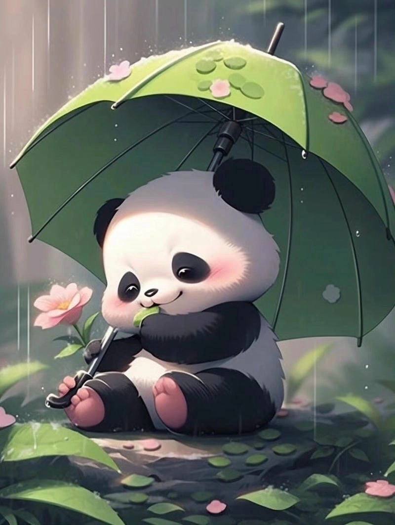 Những hình ảnh con gấu trúc cute