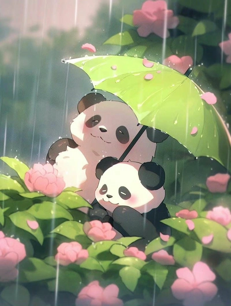 Cùng ngắm ảnh gấu trúc đáng yêu