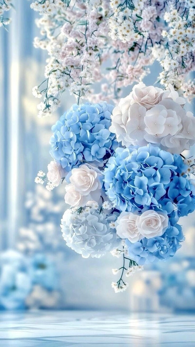 Sưu tầm hình hoa cẩm tú cầu