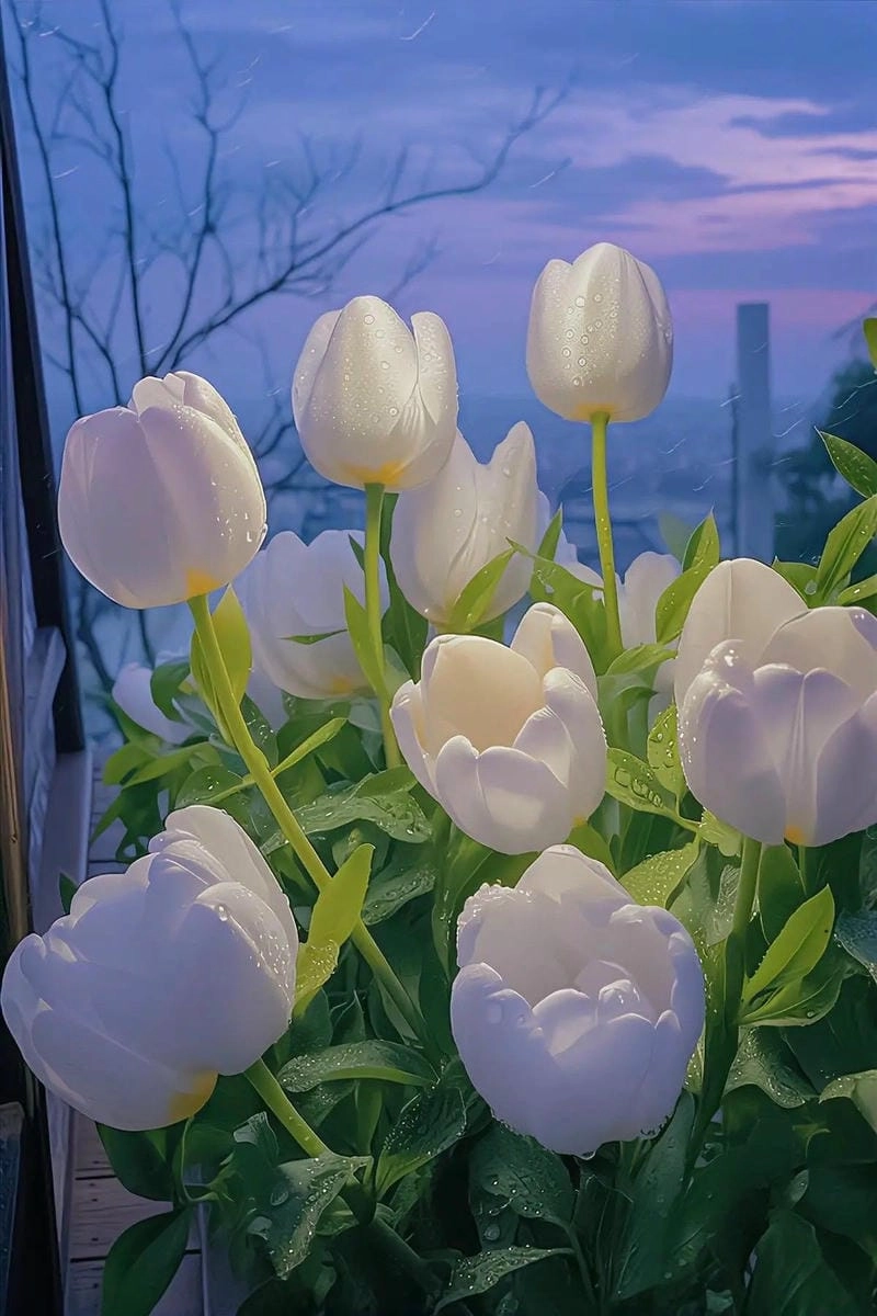 Gợi ý avatar hình hoa tulip