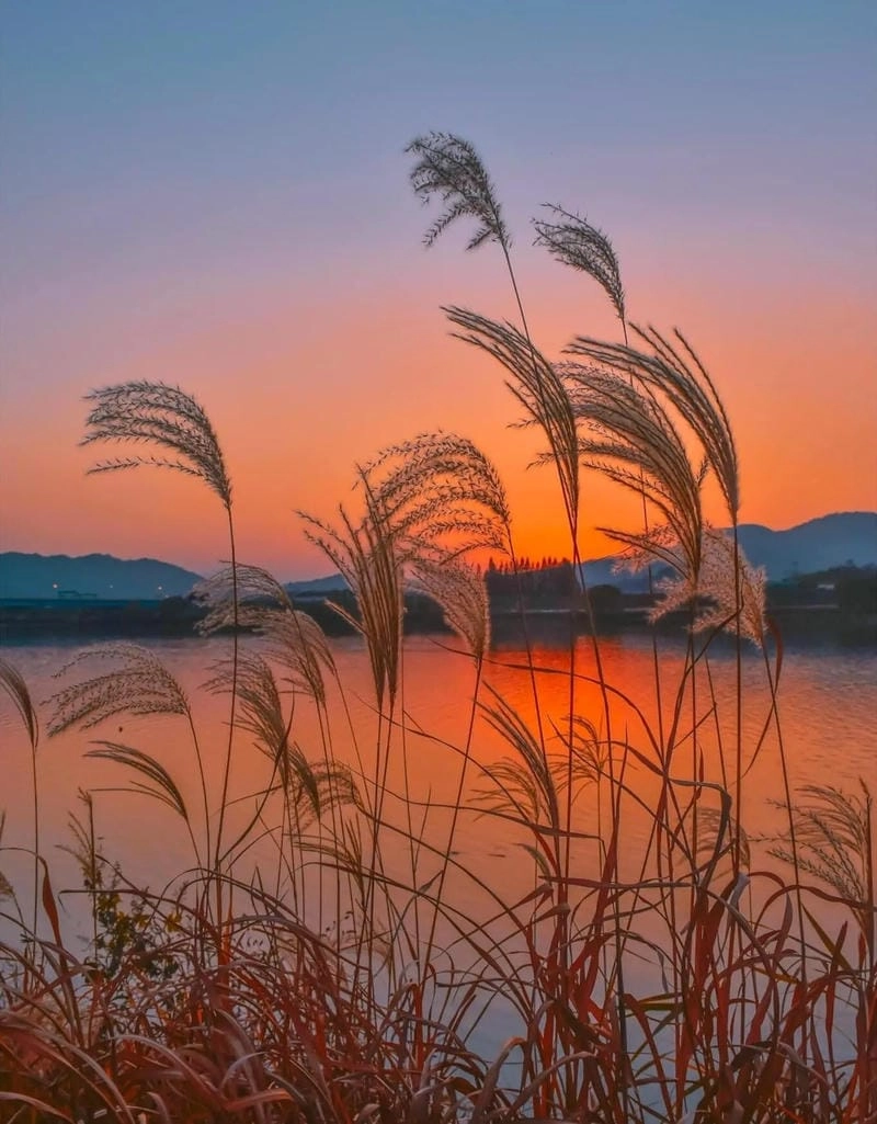 Cùng ngắm cảnh hoàng hôn trên biển