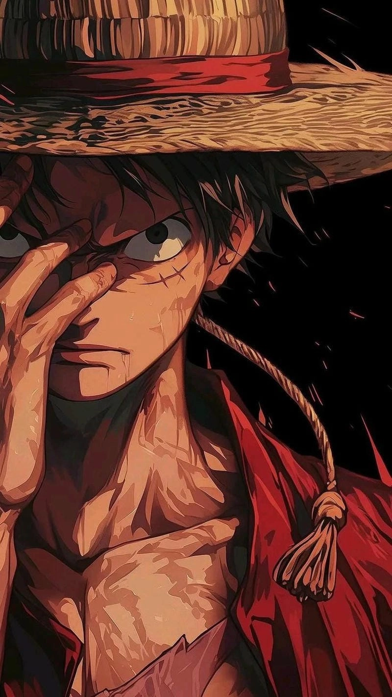 Sưu tầm hình ảnh luffy cực ngầu