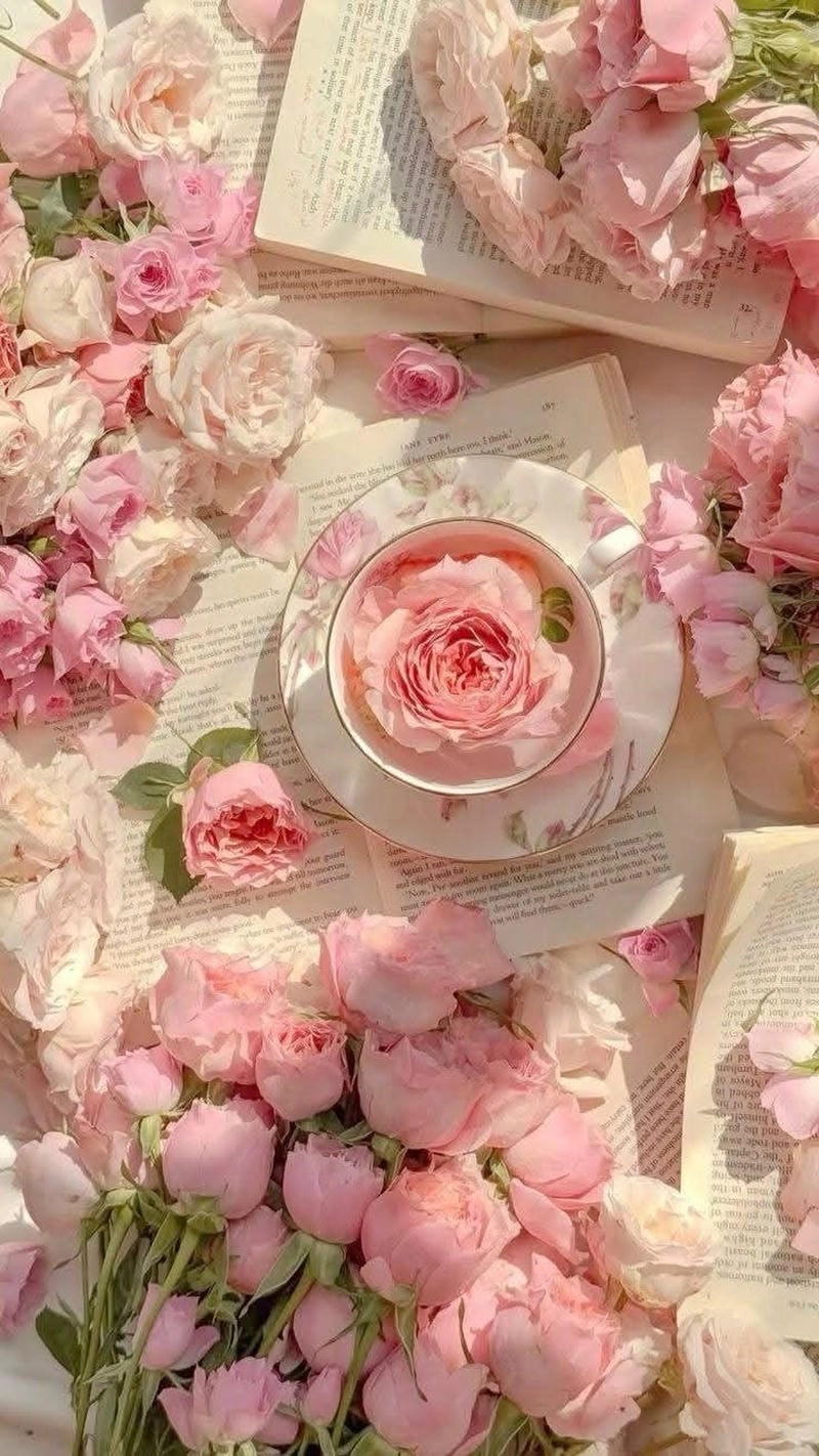 Săn ảnh avatar đẹp cute