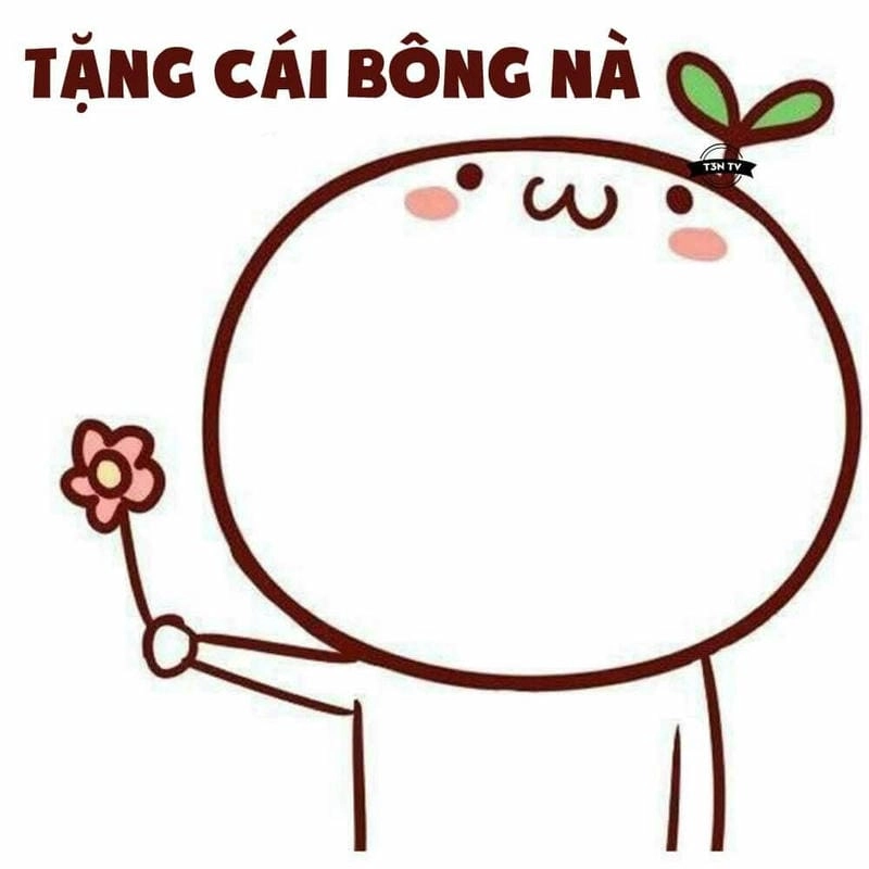 Gợi ý phong cách meme tặng hoa hồng