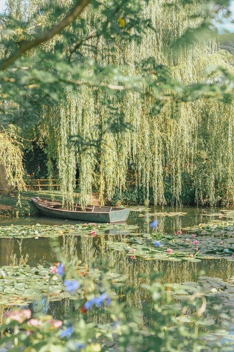Top ảnh phong cảnh avatar
