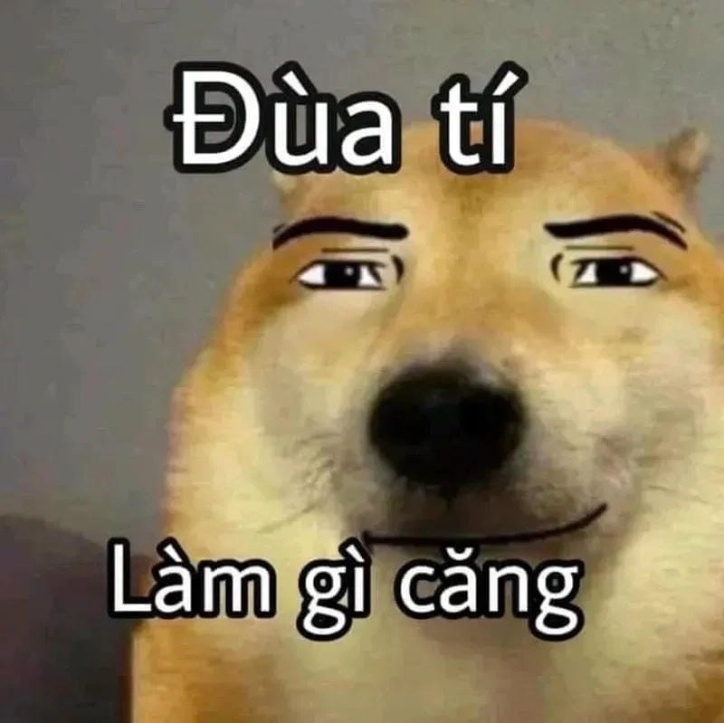 Chiêm ngưỡng vẻ đẹp hình meme tết