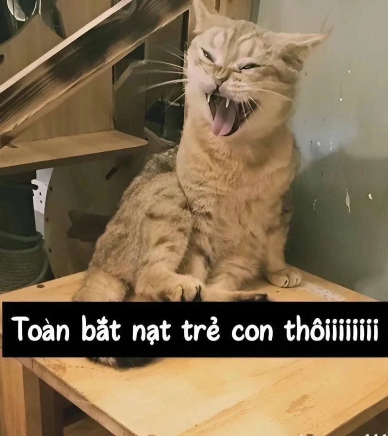 Những khoảnh khắc meme bựa ảnh chế