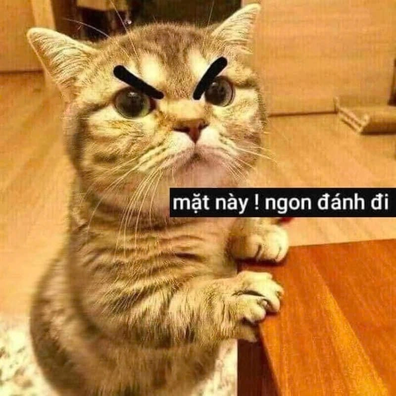 Cùng tìm hiểu lý do được “giang cư mận” yêu thích đến vậy