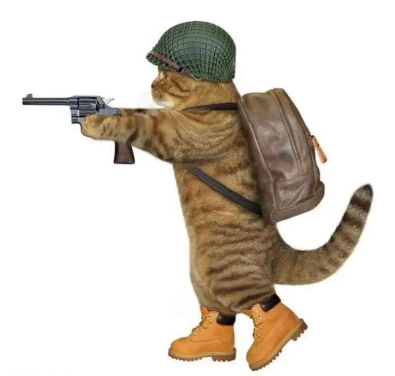 Đắm mình trong thế giới meme cầm súng vui nhộn