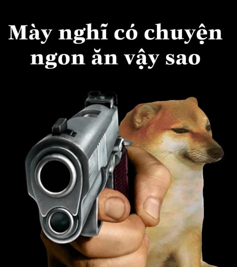 Cùng nhau xem meme cầm súng ngầu