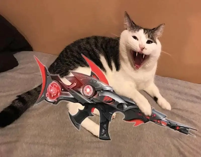 Cùng khám phá meme cầm súng bá đạo