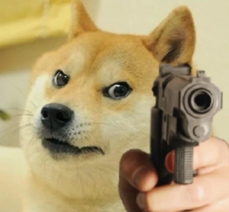 Gợi ý phong cách meme chó cute
