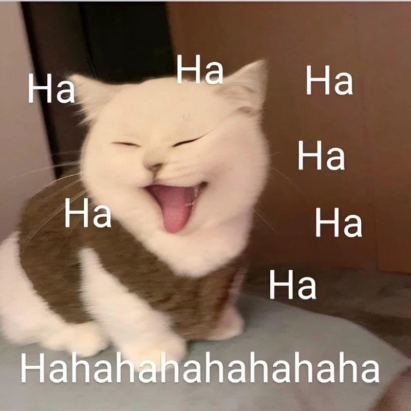 Tổng hợp hình ảnh meme cười haha