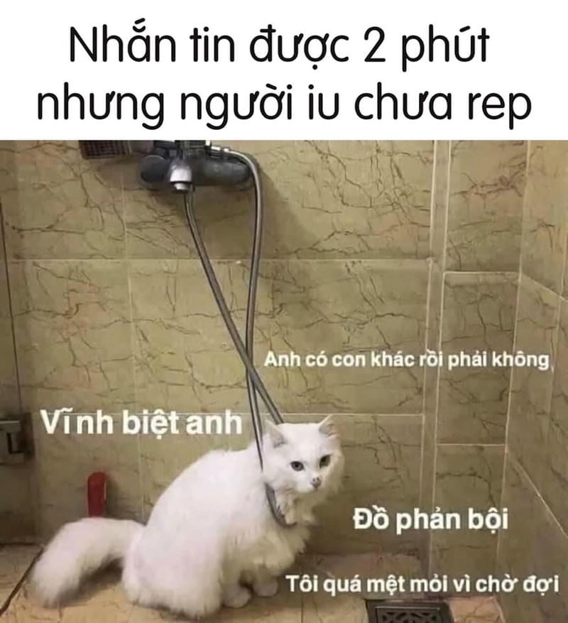 Cười sảng với meme khoanh tay dỗi