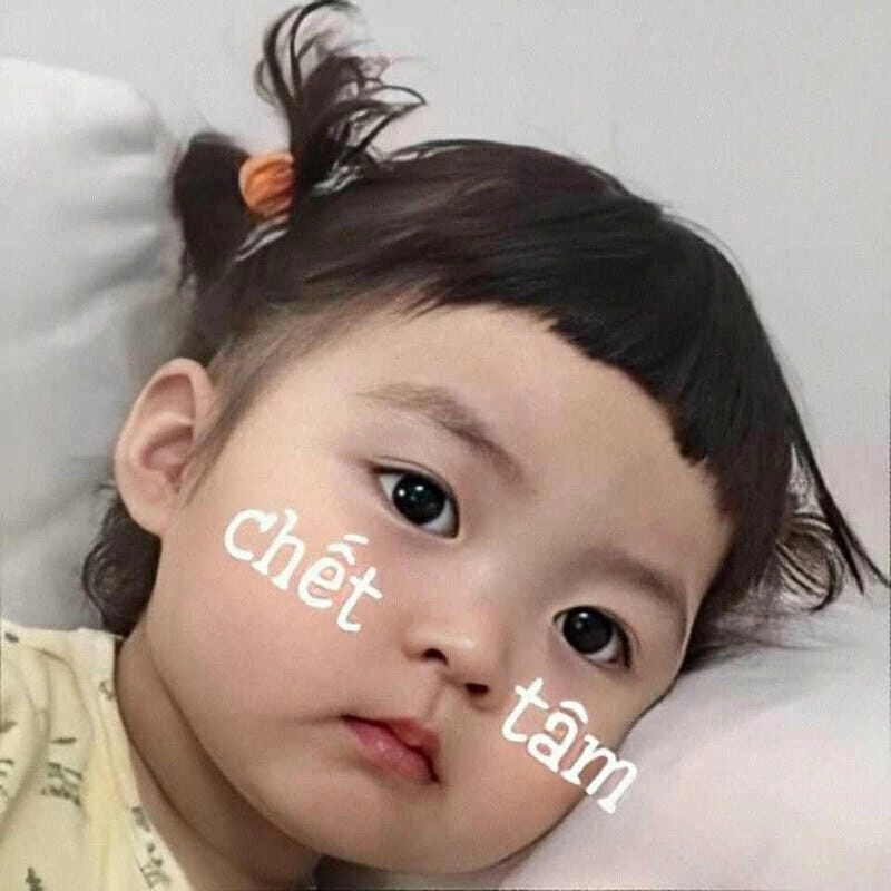 Cùng tìm hiểu lý do được “giang cư mận” yêu thích đến vậy