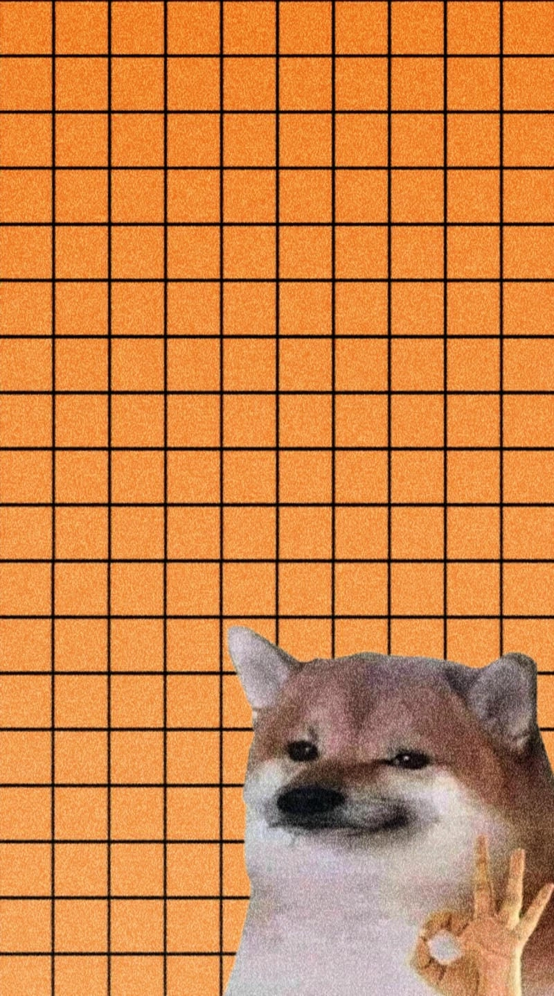 Chiêm ngưỡng vẻ đẹp meme oke