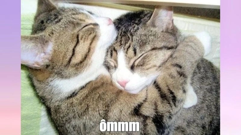 Cùng tìm hiểu lý do được “giang cư mận” yêu thích đến vậy