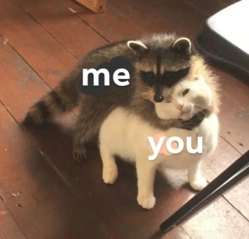 Tìm hiểu khái niệm meme ôm là gì