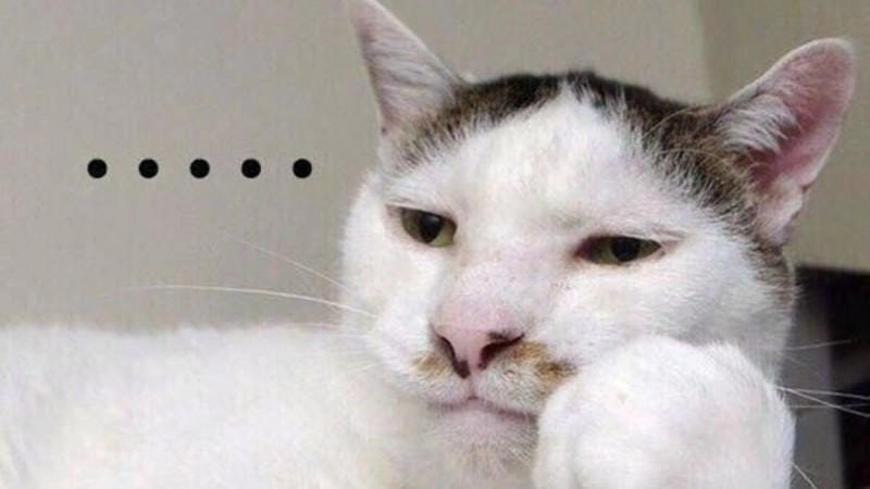 Tổng hợp hình ảnh meme sợ hãi kinh dị