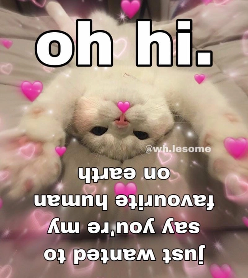 Sưu tầm những khoảnh khắc ảnh meme tình yêu