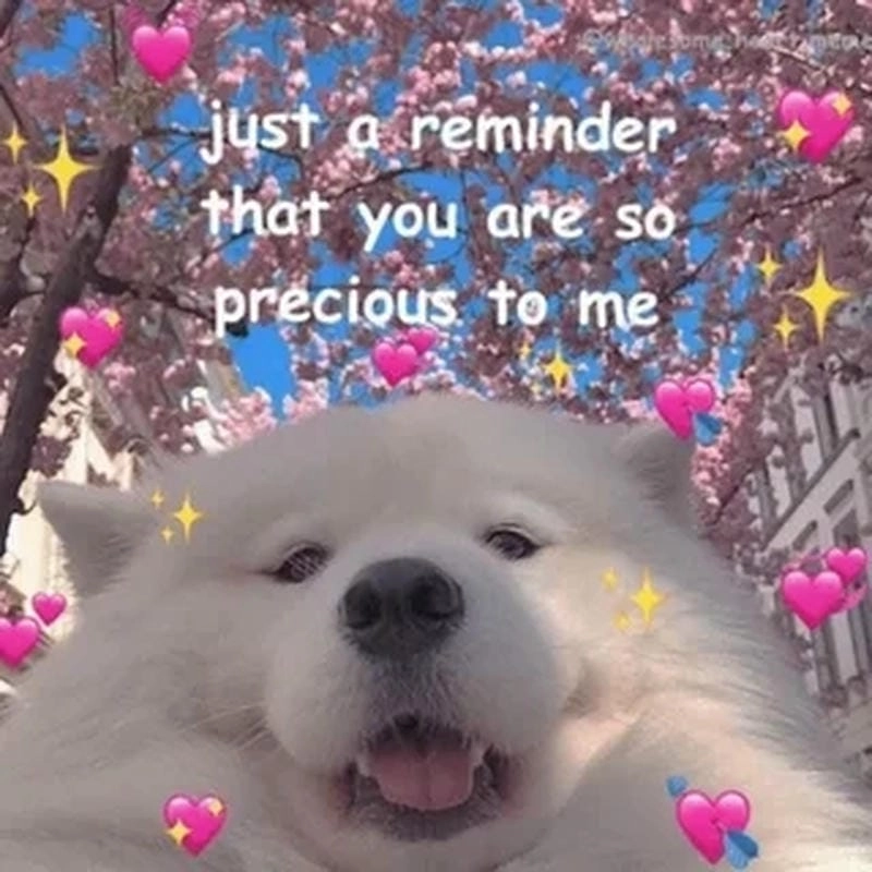 Cùng tìm hiểu lý do được “giang cư mận” yêu thích đến vậy