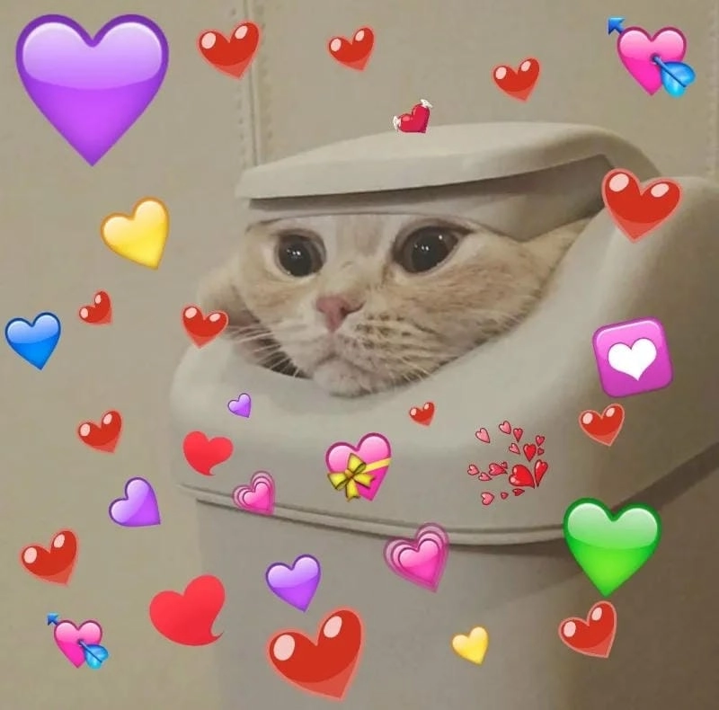 Sưu tầm những khoảnh khắc ảnh meme trái tim