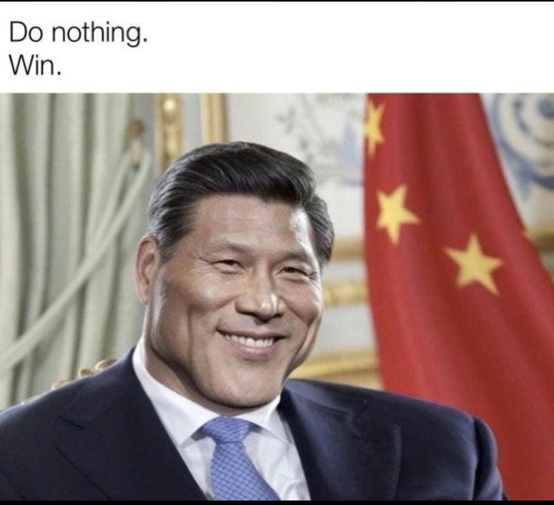 Săn những ảnh mới nhất của gấu meme Trung Quốc
