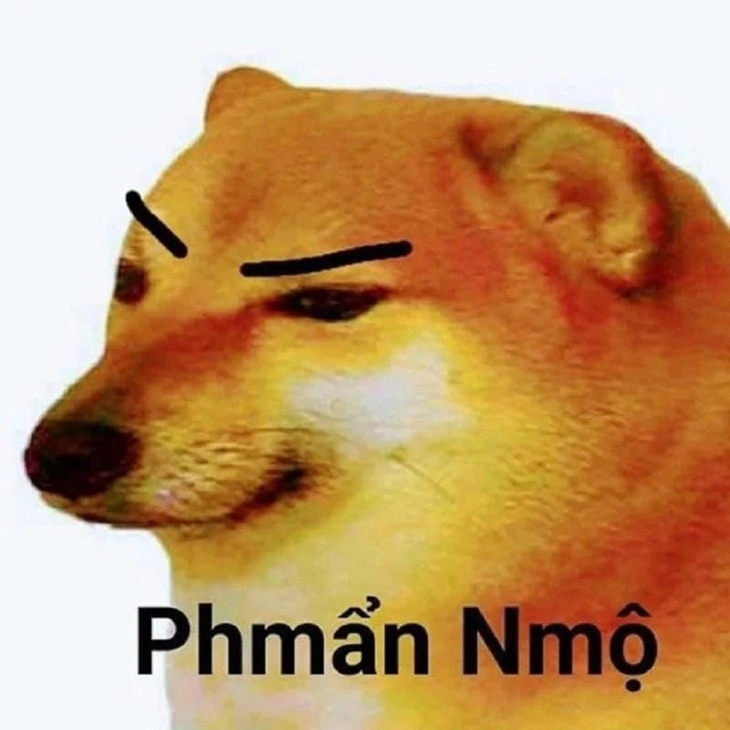 Cười sảng với ảnh meme tức giận