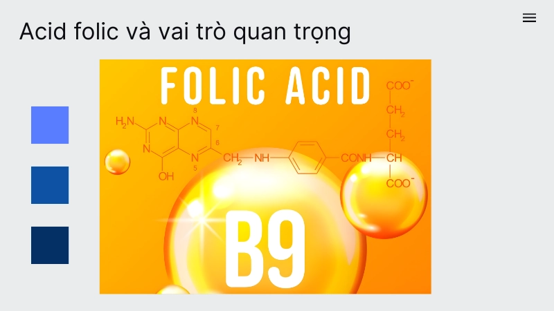 Vai trò thiết yếu của acid folic trong việc tái tạo tế bào máu
