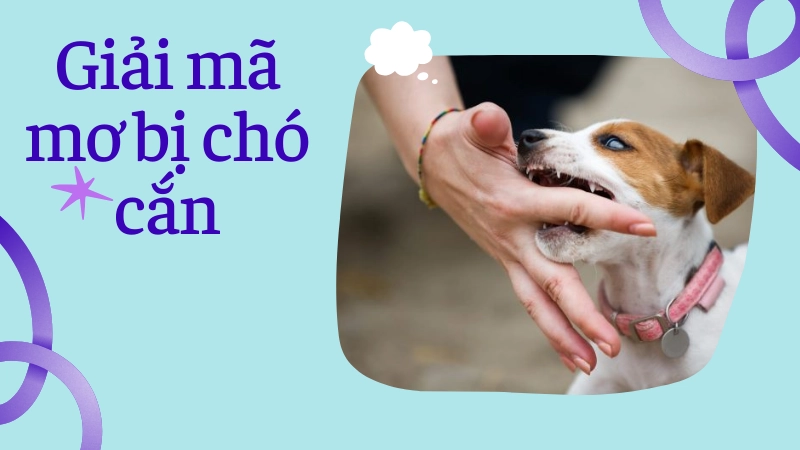 Ý nghĩa tâm linh khi mơ thấy chó cắn vào tay hoặc chân