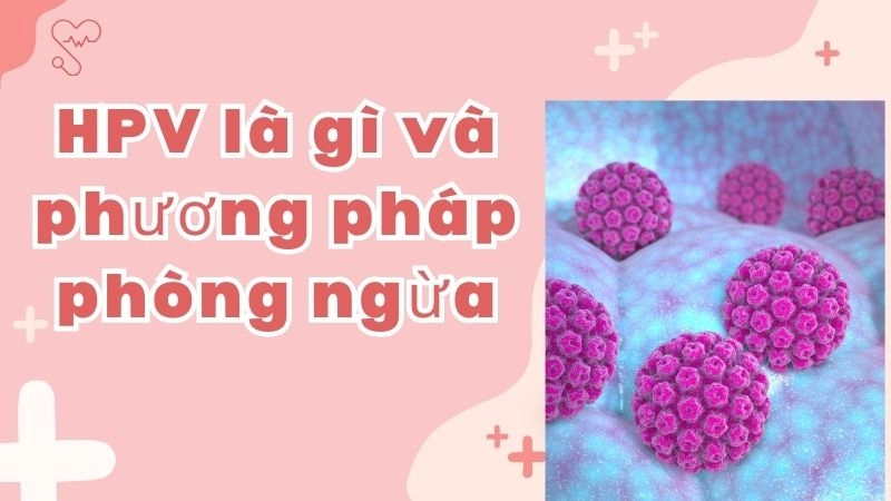 HPV là virus gì và tại sao nguy hiểm?